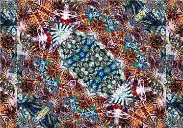 《鸣潮》卡提希娅实机演示 双形态太绝了！